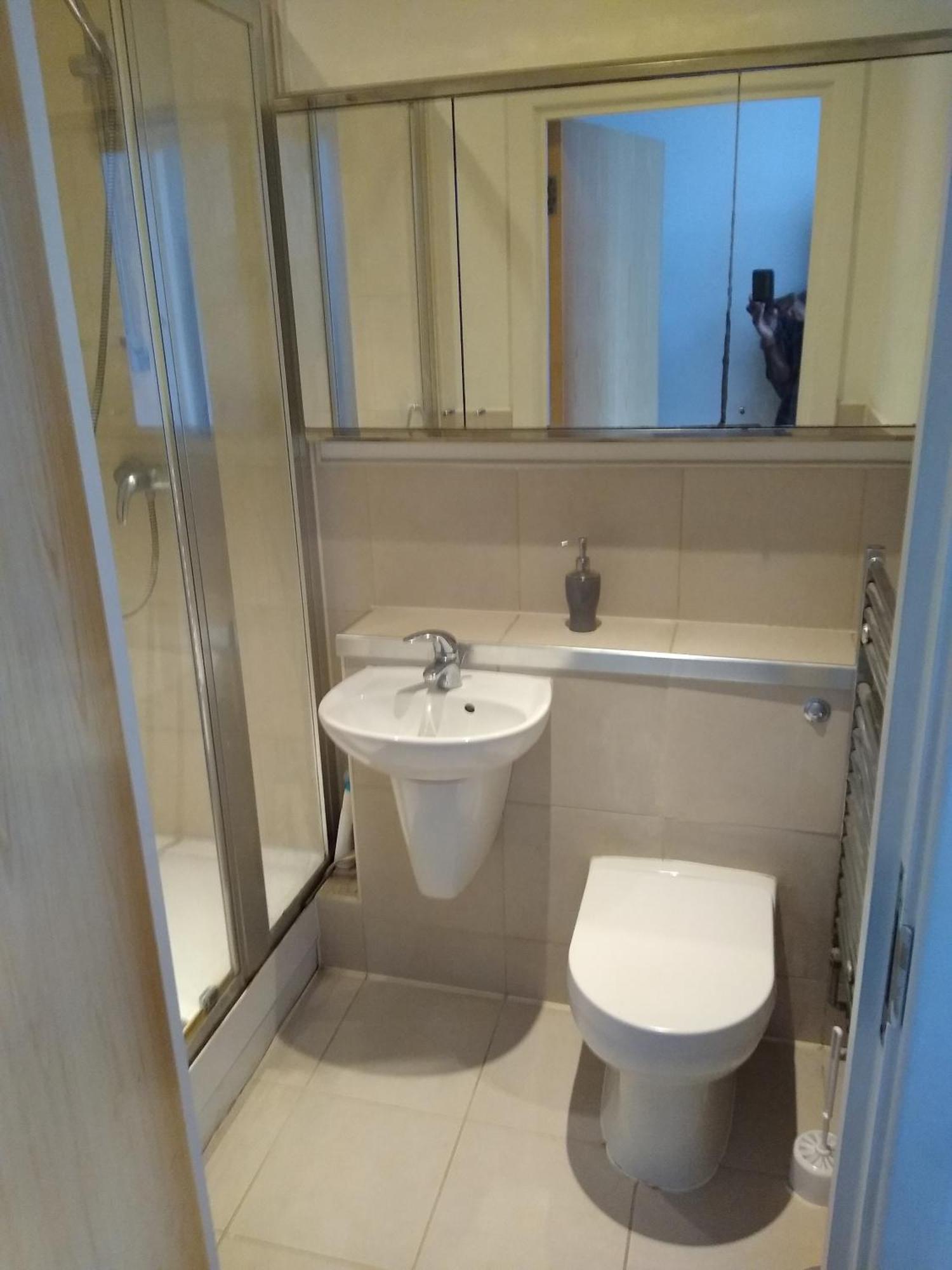 In Luxurious Penthouse *